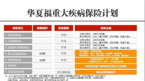 保險(xiǎn)代理人的一日安排 從規(guī)劃到執(zhí)行的代理代辦之路